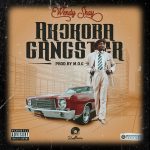 Wendy Shay releases new song Akokora Gangster
