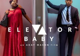 Download Elevator Baby