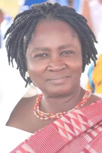 Biography of Naana Jane Opoku Agemang 2 Naana Jane Opoku Agemang