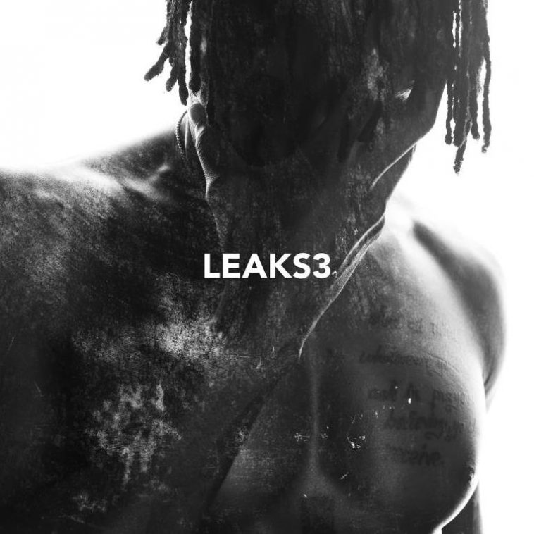 E.L Leaks Series