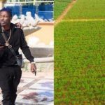 I will go into farming if Shatta Wale rejoins VGMA – Bulldog