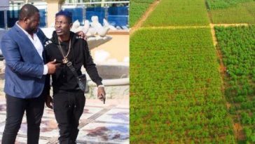 I will go into farming if Shatta Wale rejoins VGMA – Bulldog