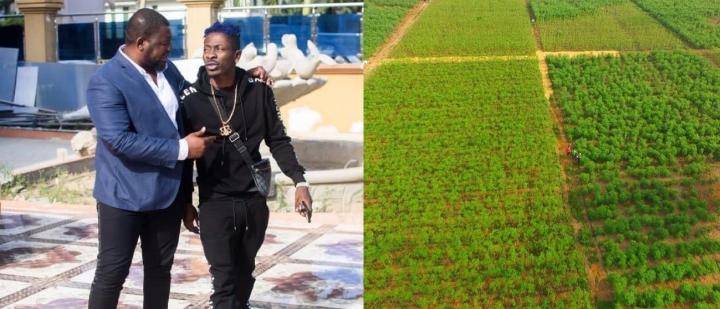 I will go into farming if Shatta Wale rejoins VGMA – Bulldog