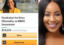 Erica Nlewedim Gofundme