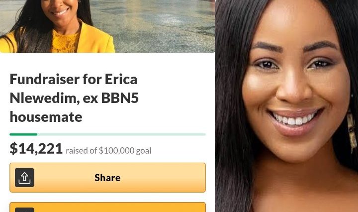 Erica Nlewedim Gofundme