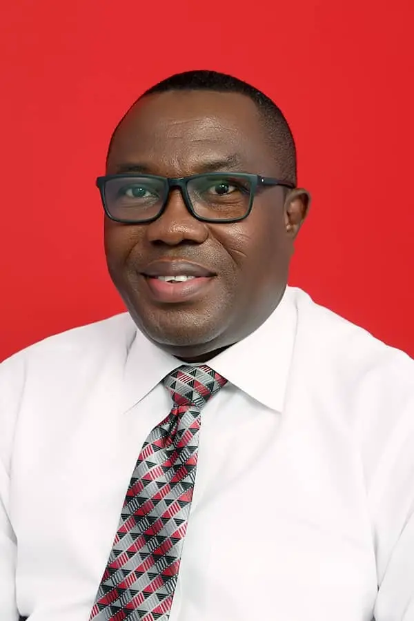 Chiefs Must Form Groups To Protect Ballot Boxes On Election Day – Ofosu Ampofo