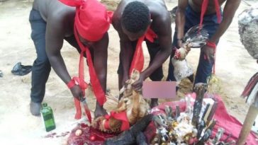 NDC supporters curse false accusers over plot to kill Gender Minister