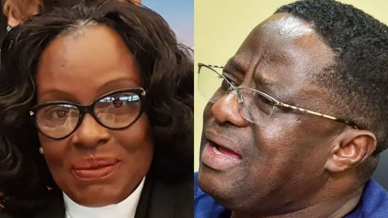 Scrap injunction against Amewu – State challenges Hohoe injunction at Supreme Court