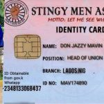 Stingy Men Association