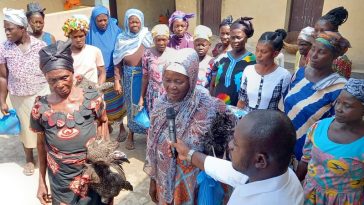 S3x-starved widows’ cry for servicing