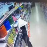 vmv 13