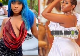 Pimp, marriage does not delete ‘hoeness’ – Efia Odo drags Victoria Lebene