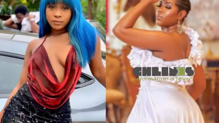 Pimp, marriage does not delete ‘hoeness’ – Efia Odo drags Victoria Lebene