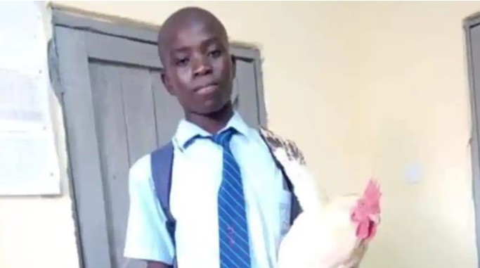 Student who took his mother’s fowl to school to pay up his fees gets scholarship