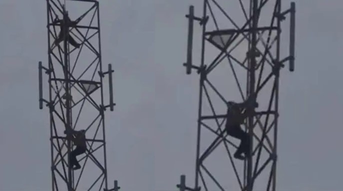 Man climbs mast, threatens to commit suicide if a wife isn’t provided for him