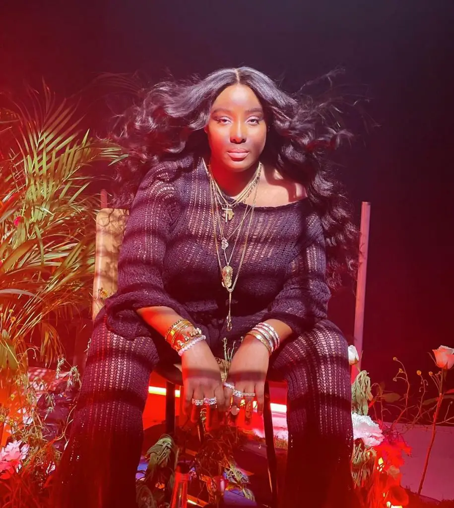 Meet Tolani Otedola, the first daughter of Femi Otedola 2 Tolani Otedola