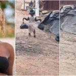 Wendy Shay looks for baby helping mom sell charcoal
