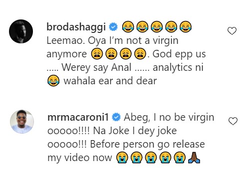 broda shaggi mr macaroni