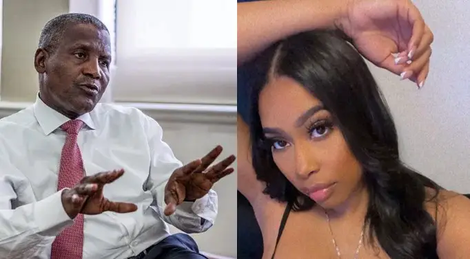 Dangote’s alleged side chic jubilates as U.S. Court dismisses suit against her (Details/Screenshots)