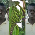 Carpenter Jailed 3-Years For Allegedly Stealing A Policeman’s Plantain [Video]