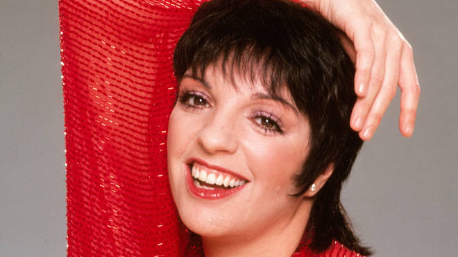 Liza Minnelli Children: Does Liza Minnelli have kids? Who are they?