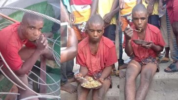 thief noodles beating.x44944