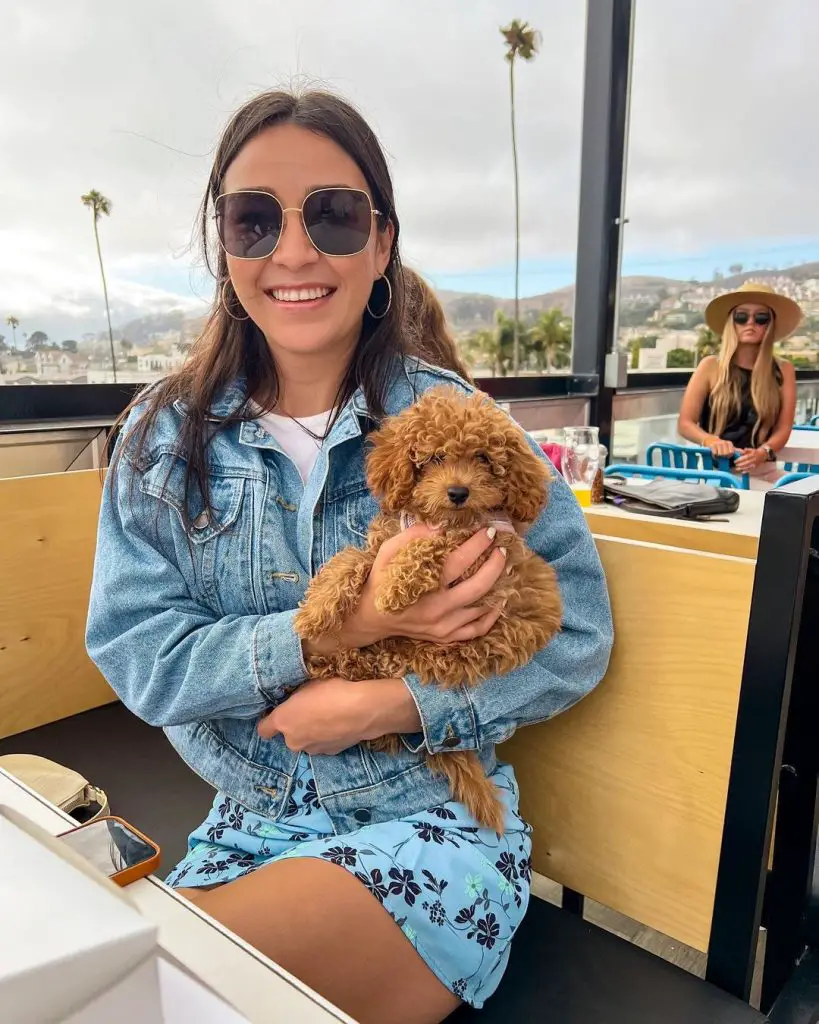 Who is Alexandria Herring? What we know about Show producer who was