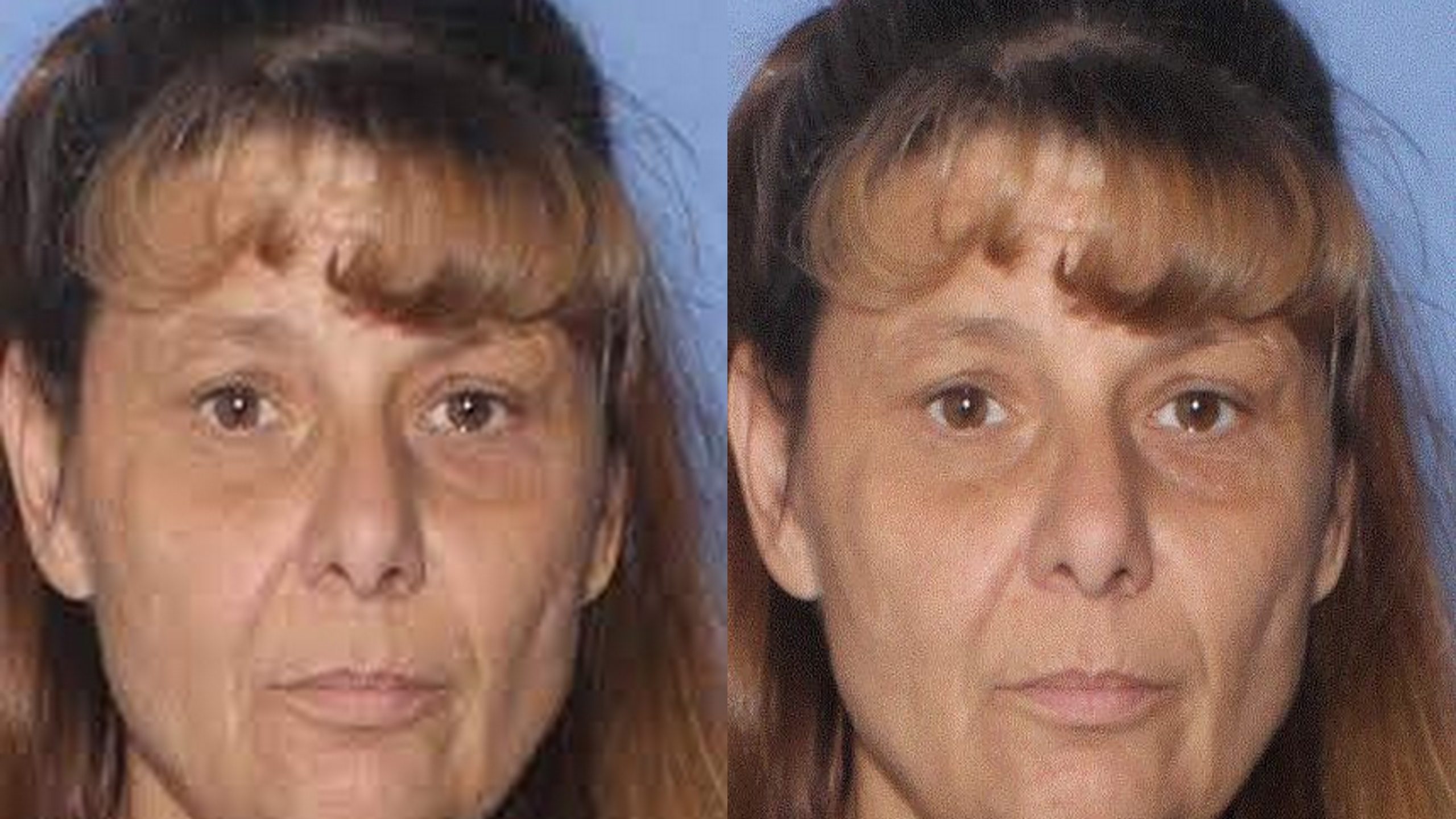 Shelly Shears: What we know about the incident where Arizona woman hit her boyfriend with car after an argument 2 Shelly Shears