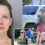 Lisa Nacrelli: How an Ohio woman posing as CPS worker tried to lure 4-year-old neighbor into her car