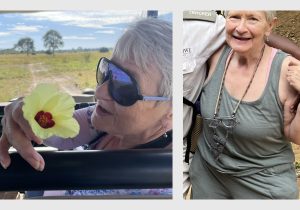Gail Mattson: How US tourist, 80, was killed in attack by elephant while on safari in Zambia