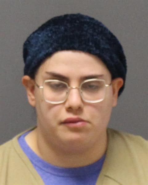 Naomi Elkins, Lakewood mother arrested after drowning daughters
