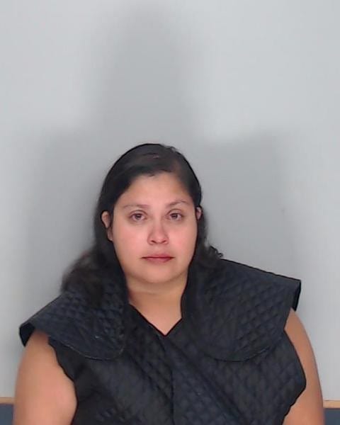 Hilda Ann Adame: 22-month-old's mother arrested, charged in toddler's hot-car death