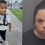 Jiryiah Johnson: 1-year-old boy mauled to death by dogs