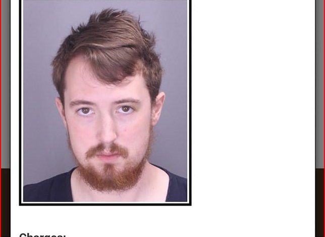 A man identified as Seth Thomas Martin was arrested after police say he stabbed and killed his fiancee in Waterford Township Friday afternoon.