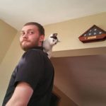 Brian Browning from Romulus